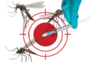 Ministério da Saúde amplia vacinação da dengue para mais 6 estados