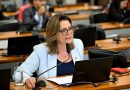 CMA aprova penas mais duras para quem maltratar animais; texto vai à CCJ