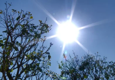 Fenômeno climático El Niño vai aumentar as temperaturas no Piauí, diz diretor da Defesa Civil