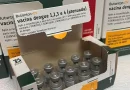 Ministério da Saúde suspende vacina contra a dengue do Butantan